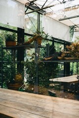 Obraz premium Interior of a greenhouse with potted plants and wooden tables