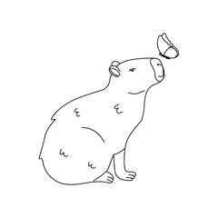 Capybara Watching Butterfly Illustration black and white.