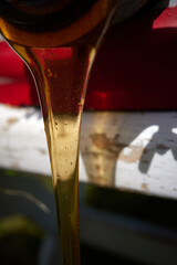 Honey just from bee house. . High quality photo