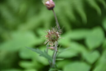 River gravity close-up in natural environment