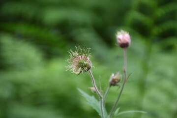 River gravity close-up in natural environment
