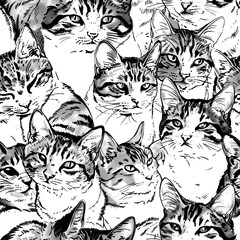 Obraz premium Seamless pattern of black or colorful cats doodle background, Cartoon style doodle kitten illustration. High quality AI generated image