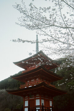 Japanese three story pagoda in Kyoto