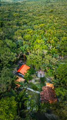 Açaí Floresta Açaizeiro Rio Amazonas Amazônia Mangue Ilha Marajó Salvaterra Biodiversidade...