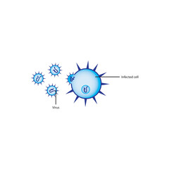 Diagram of virus and virus infected cell - schematic simple illustration. skeletal structure diagram. compound molecule scientific illustration.