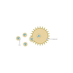 Diagram of virus and virus infected cell - schematic simple illustration. skeletal structure diagram. compound molecule scientific illustration.