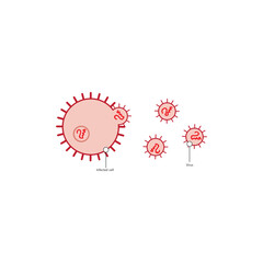 Diagram of virus and virus infected cell - schematic simple illustration. skeletal structure diagram. compound molecule scientific illustration.