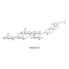 Fototapeta premium Holotoxin A skeletal structure diagram.marine toxin compound molecule scientific illustration.