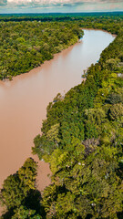 Rio Amazônia Mangue Ilha Marajó Salvaterra Açaí Floresta Biodiversidade Fauna Flora Natureza...