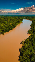Rio Amazônia Mangue Ilha Marajó Salvaterra Açaí Floresta Biodiversidade Fauna Flora Natureza...