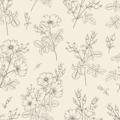 Seamless floral pattern with Rose. Botanical rosehip