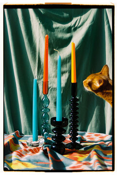 Cat and candles.