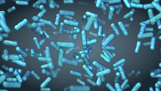 microbiota bacillus bacterias 3d animation render, can be used to represent probiotic bacteria, bacterial resistance pandemic or pathogen infection
