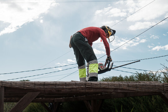 gardener pruning hedges