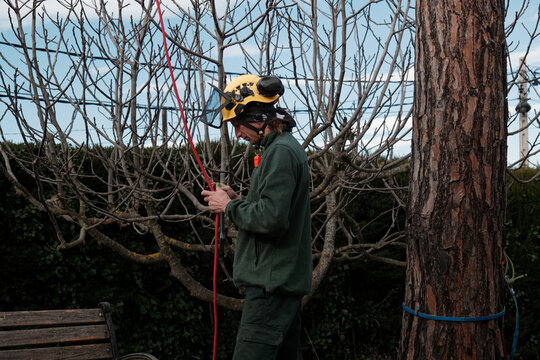 height pruning worker preparing to climb a tree