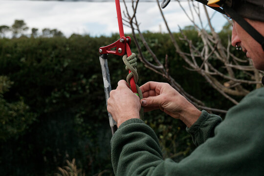 height pruning worker preparing to climb a tree