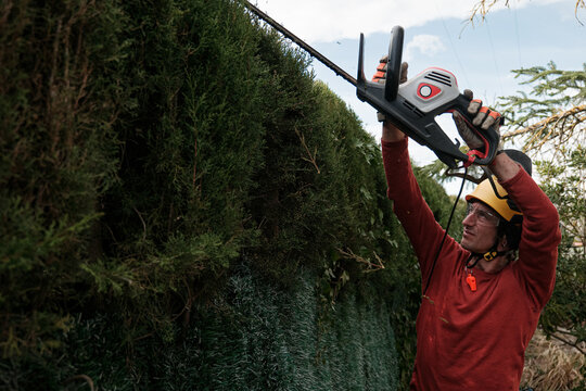 gardener pruning hedges