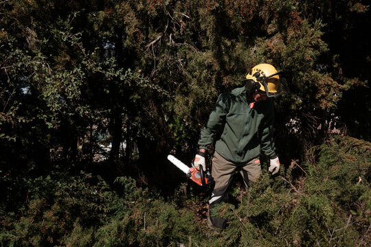 Forest ranger with chainsaw