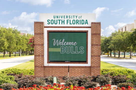 Tampa, FL, USA - May 29, 2024: The University of South Florida is a public research university with their main campus in Tampa, FL. Their mascot is the Bulls.