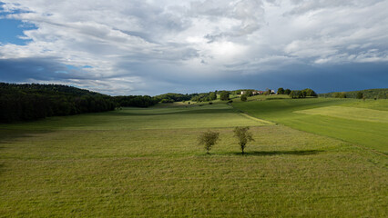 Fototapeta premium a la campagne, deux arbres au milieu d'un champ cultivé, sous un ciel gris et nuageux