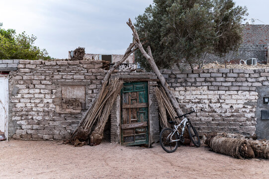 Rustic door and bicycle near palm fronds in rural Egypt