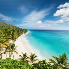 beach with palm trees