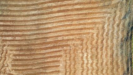 graphisme , lignes géométriques créées par un tracteur qui a labouré un champ