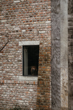 Rustic window on a weathered brick wall
