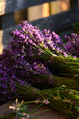 beautiful bouquets of fresh lavender close-up