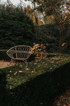 Cozy garden corner with bench and plants