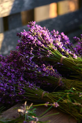 beautiful bouquets of fresh lavender close-up