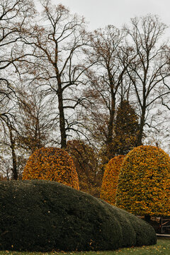 European garden aesthetic with autumn flair