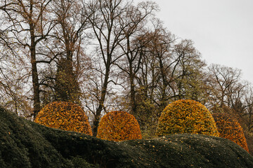 Harmony of seasonal change in European garden