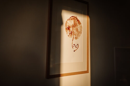 Placenta Art on the wall