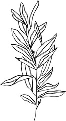 book with leaves