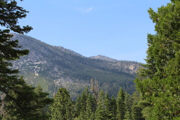 Mountains and trees.