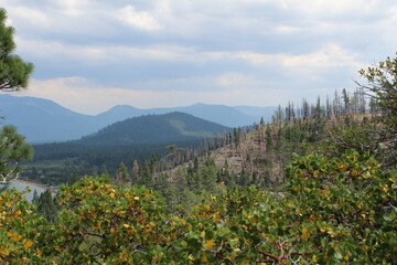 Plants and mountains. Open skies.