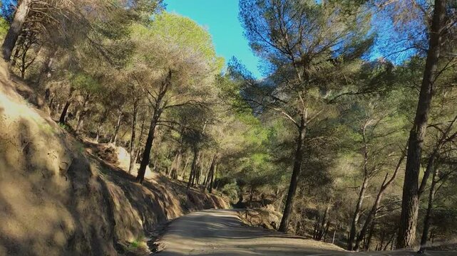Road to recreation area"El Alc&aacute;zar" to start hiking trail to Maroma peak, Sierra Tejeda, Spain 