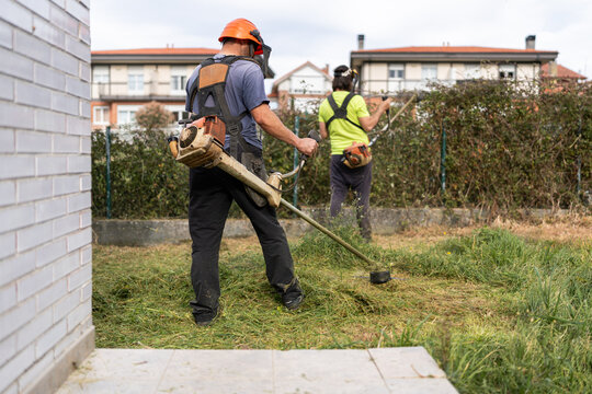 Gardeners working in a backyard.