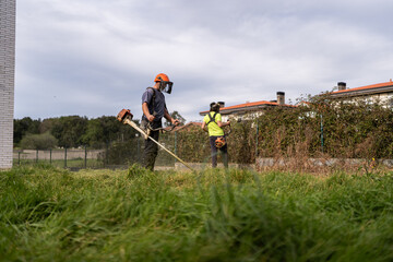 Professional gardeners working.