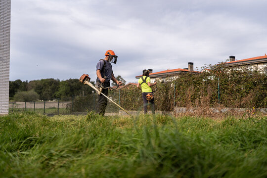 Professional gardeners working.