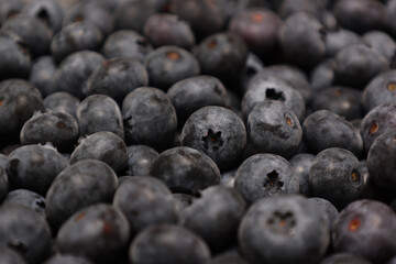 ブルーベリーの背景画像