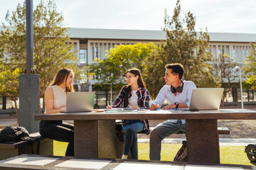 Young students discussing project and working with laptops