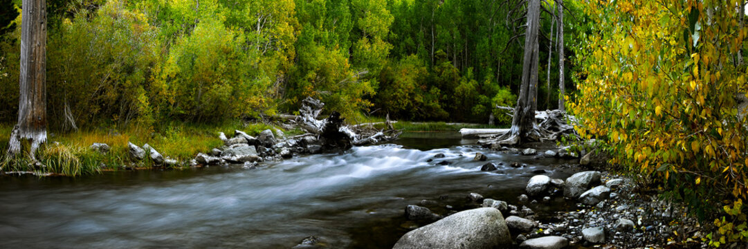 The merced river runs through yosemite valley california