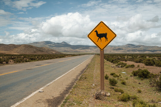 Empty Road with Llama Crossing Sign in the andes of south america