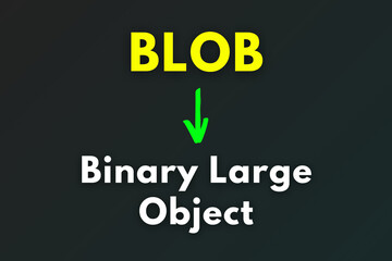 BLOB Meaning, Binary Large Object