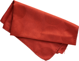 LAYER-LAB_0808182023_LC  - Ready to use Premium PNG Cutout Isolated image