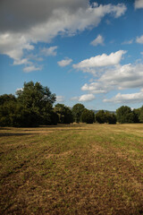 Obraz premium field and sky