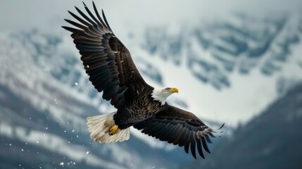 Bald eagle flies over a snow-covered mountainous landscape, embodying the spirit of freedom and strength amidst the serene and cold winter environment.