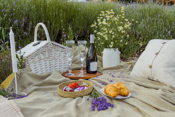 Summer picnic with wine and cheese in the lavender field, outdoors, sunset light